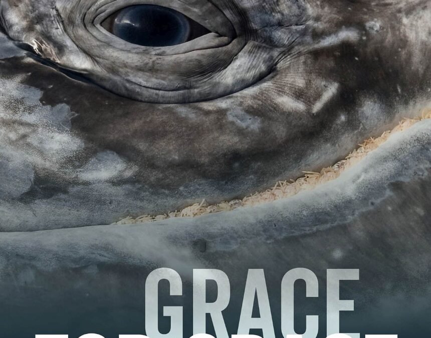 Steve De Jarnatt’s Grace for Grace Officially Releases Today!